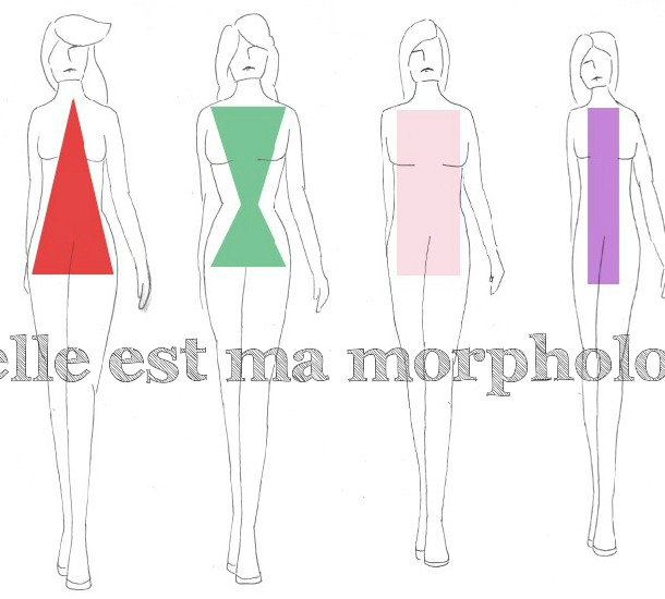 types de morphologies