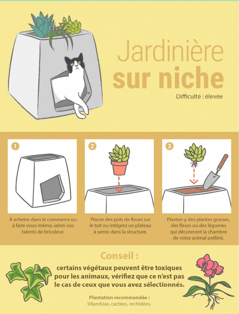 8 façons originales de présenter vos plantes d'intérieur 4