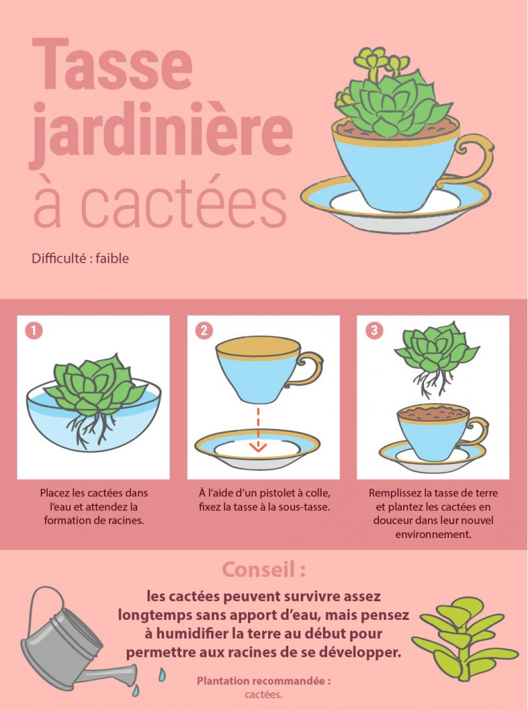 8 façons originales de présenter vos plantes d'intérieur 5