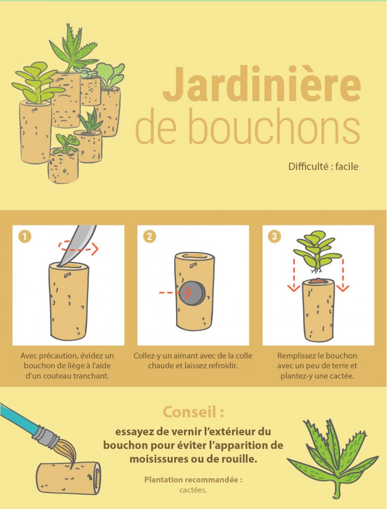 8 façons originales de présenter vos plantes d'intérieur 7