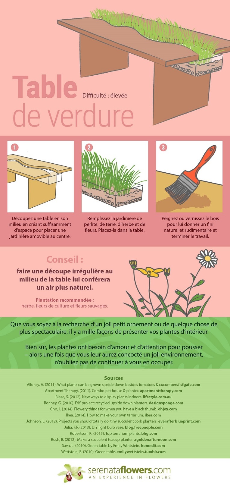 8 façons originales de présenter vos plantes d'intérieur 8