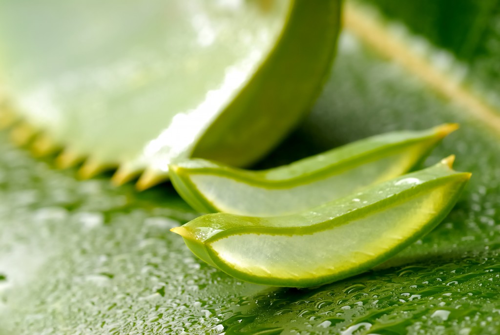 Odeurs de transpiration, comment s'en débarrasser (3) aloe vera