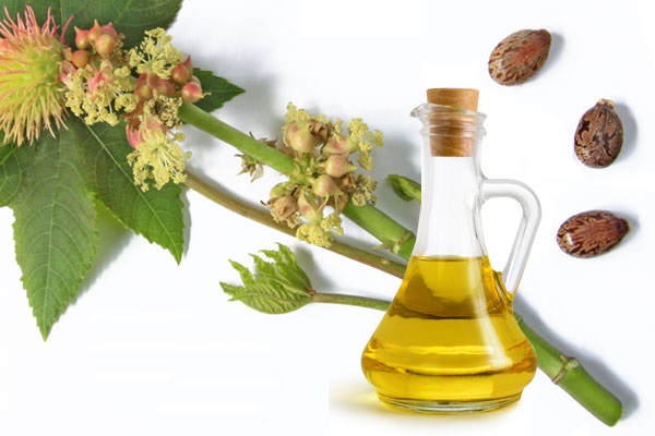 Beauté Les huiles révèlent leurs secrets argan ricin