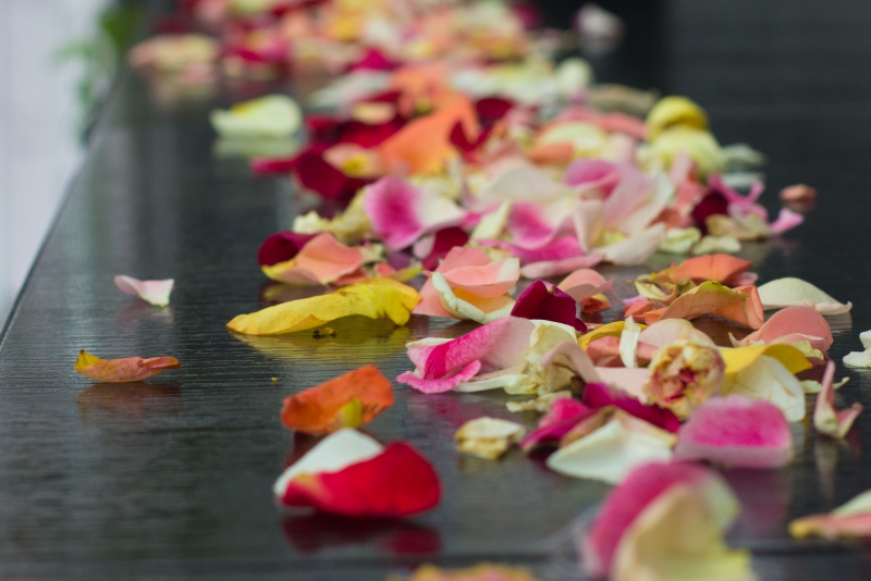 Meetup de Blogueuses Au cœur de la rencontre avec Imene Shetae et Muslim Queens