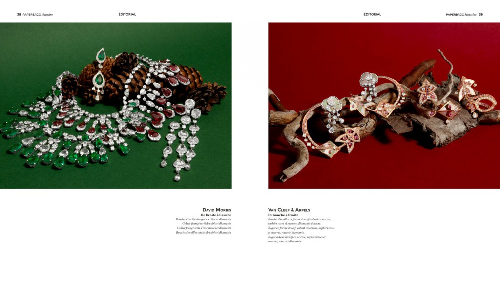 PAPERBAGG magazine Issue N°3 Nature Précieuse Editorial 2