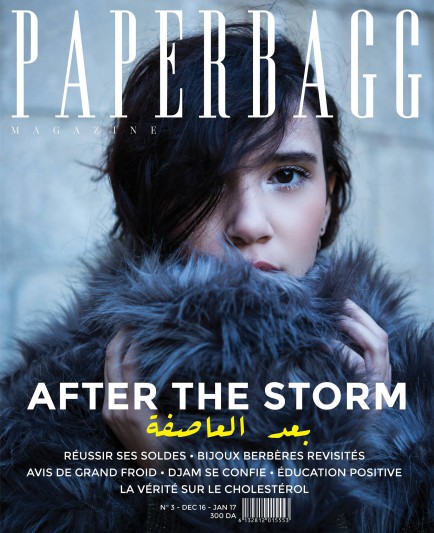 PAPERBAGG MAGAZINE N°3 AFTER THE STORM COVER LAMIS