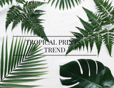 tropical prints