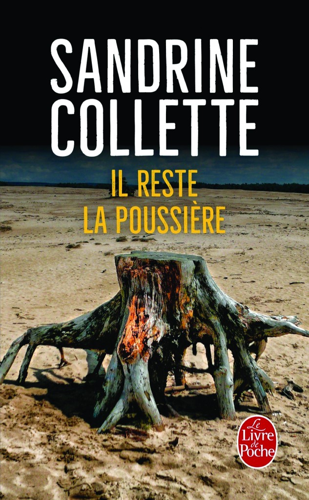 PB CULT LIVRES Il reste la poussière