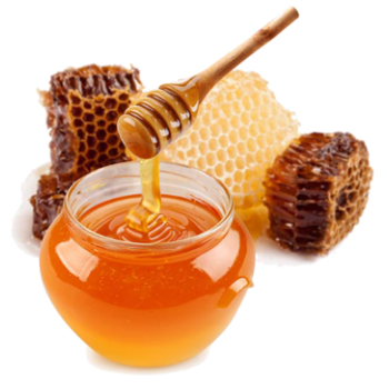 Nos 5 gommages corporels homemade miel