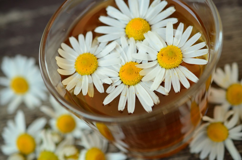 La nature en tisane CAMOMILLE